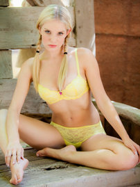Liz Ashley Gorgeous Nude Blonde Babe