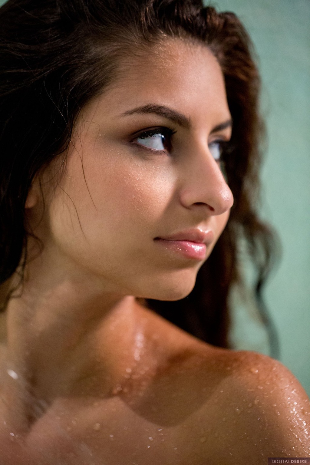 Nina North Gets Naked 02