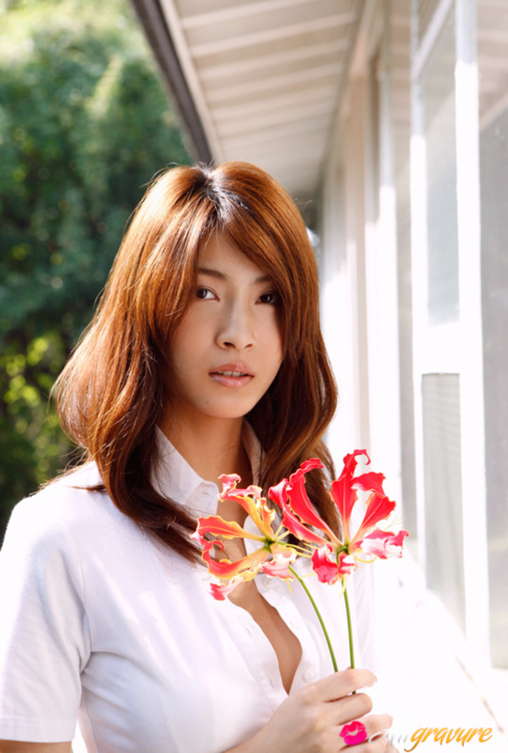 Asana Mamoru Spring Light 12